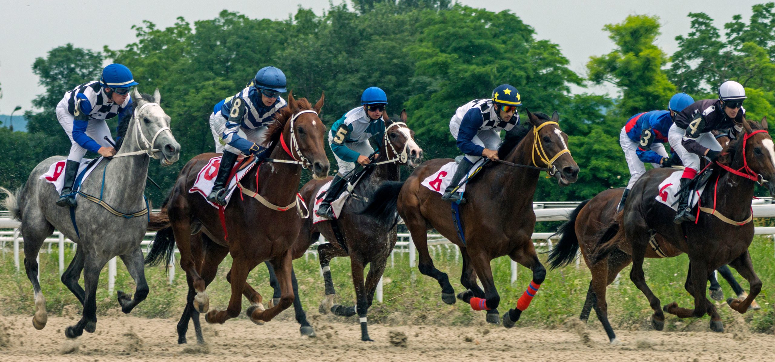 Horse Racing